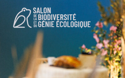 Repenser l’économie à l’échelle des territoires